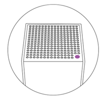 a solid purple light