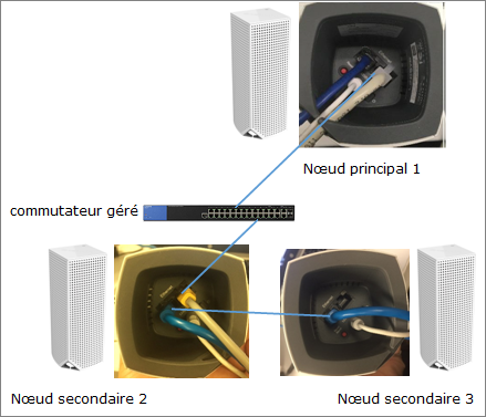 Diagram of a managed switch connected to a parent node and two child mesh nodes with wired connections.