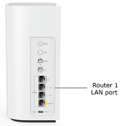 Router showing the LAN port