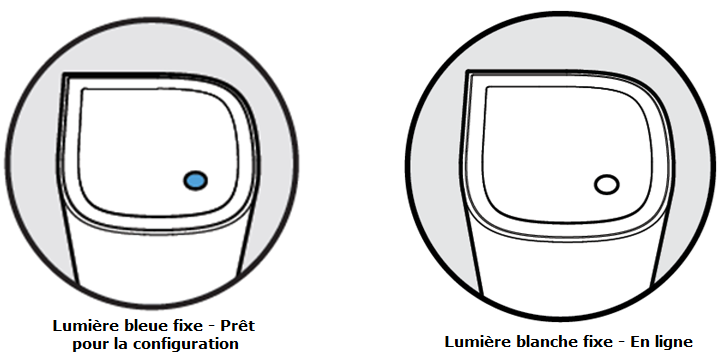 Solid blue light (Ready for setup); Solid white (Online)