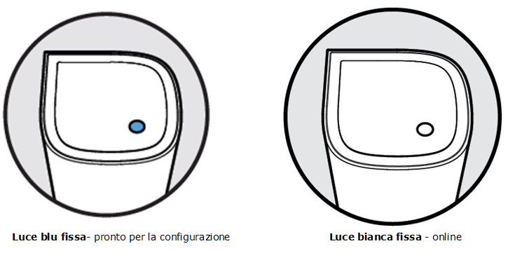 Solid blue light (Ready for setup); Solid white (Online)