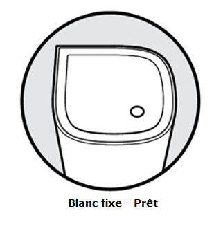 Solid white light (Ready)